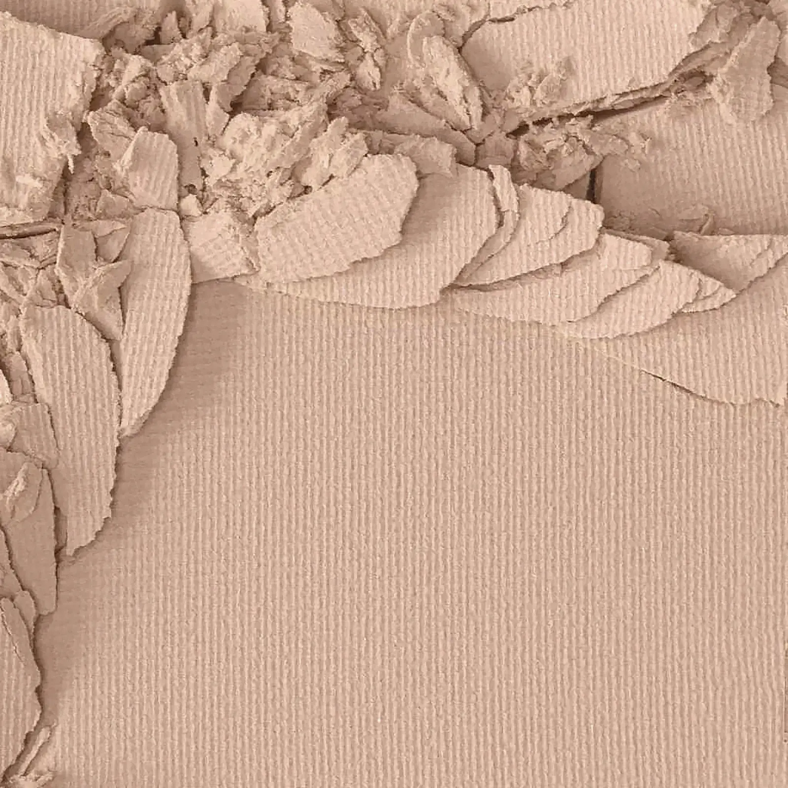 Пудра Luxvisage Silk Dream Nude Skin компакт тон 1