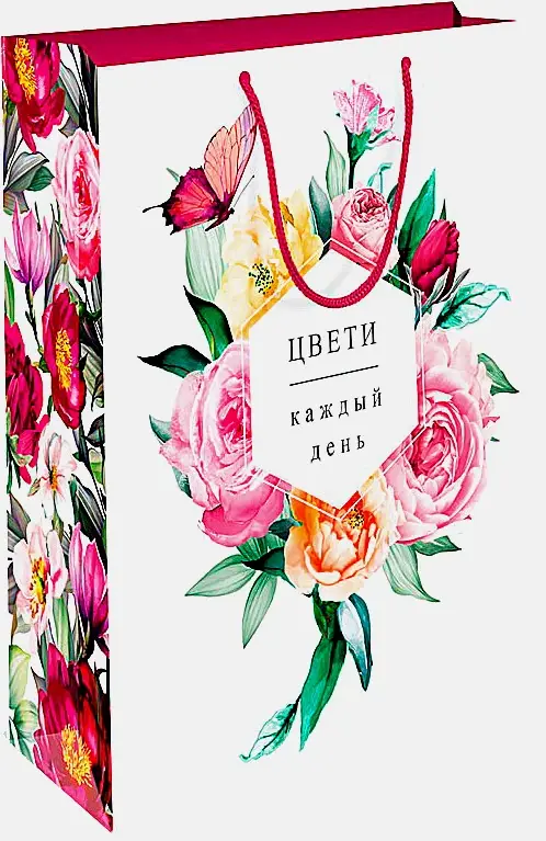 Пакет Арт Дизайн подарочный бумажный ВС 18*22.3*10см в ассортименте