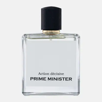 Туалетная вода Action Decisive Prime Minister мужская 100мл