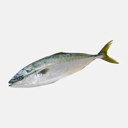 Лакедра