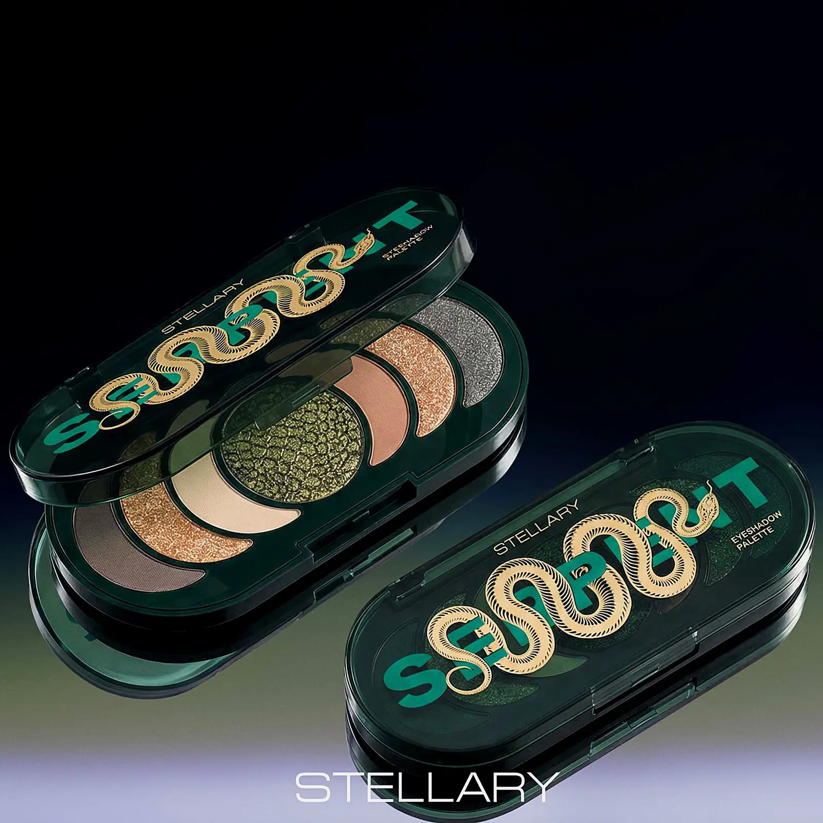 Палетка теней Eyeshadow Serpent Stellary тон 01