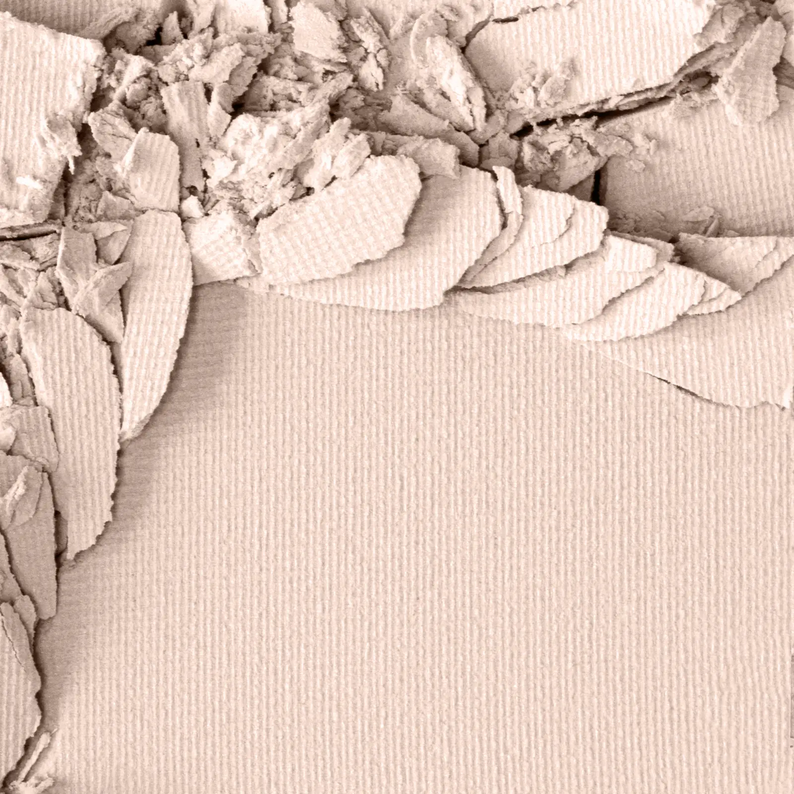 Пудра Luxvisage Silk Dream компакт Nude Skin тон2