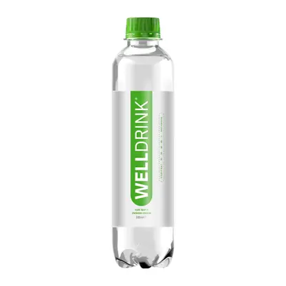 Изображение товара Напиток Welldrinк вкус Чай матэ и лимон-лайм 500мл