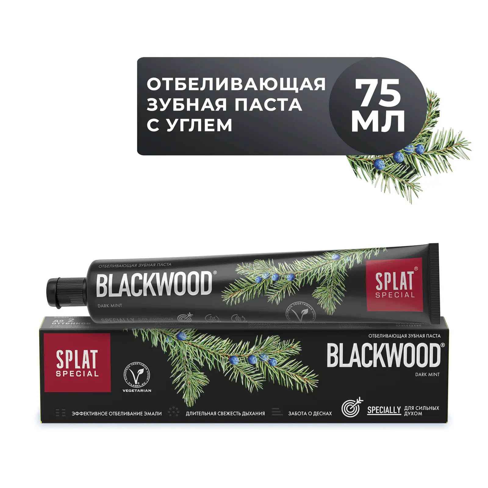 Зубная паста Splat Special Blackwood 75мл