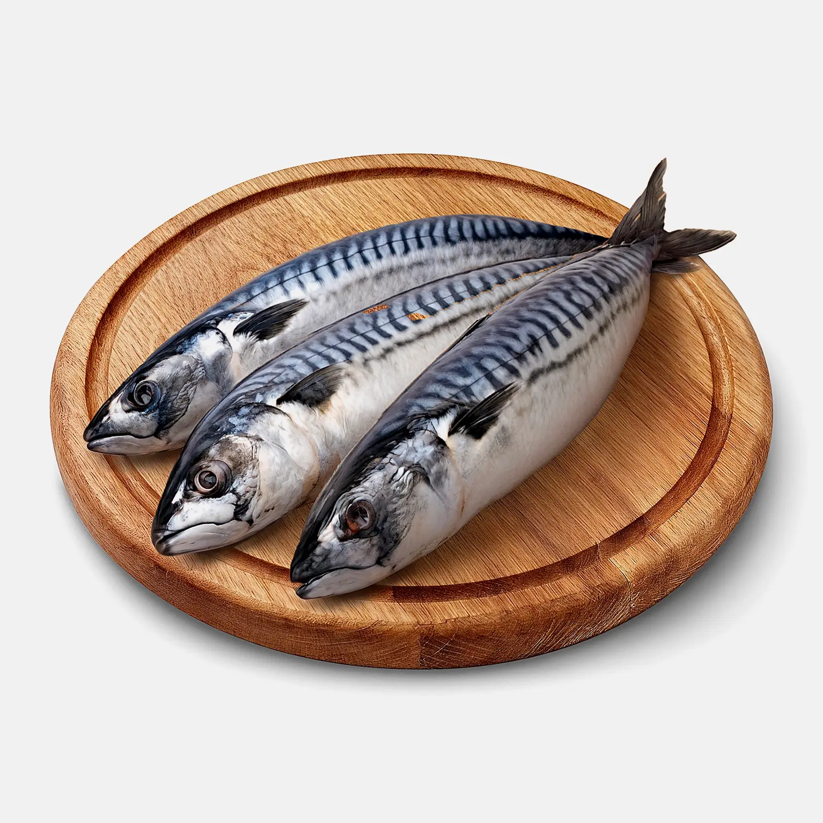 Скумбрия Скумбрия