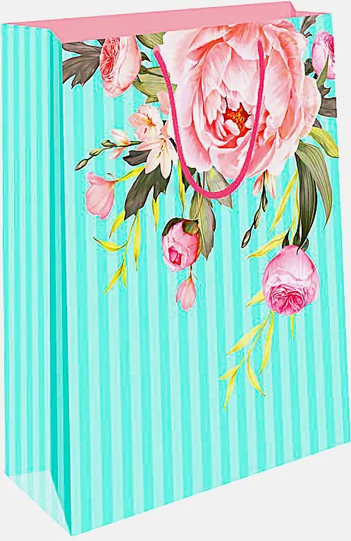 Пакет Арт Дизайн подарочный бумажный ВС 18*22.3*10см в ассортименте