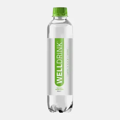 Напиток Welldrinк вкус Чай матэ и лимон-лайм 500мл