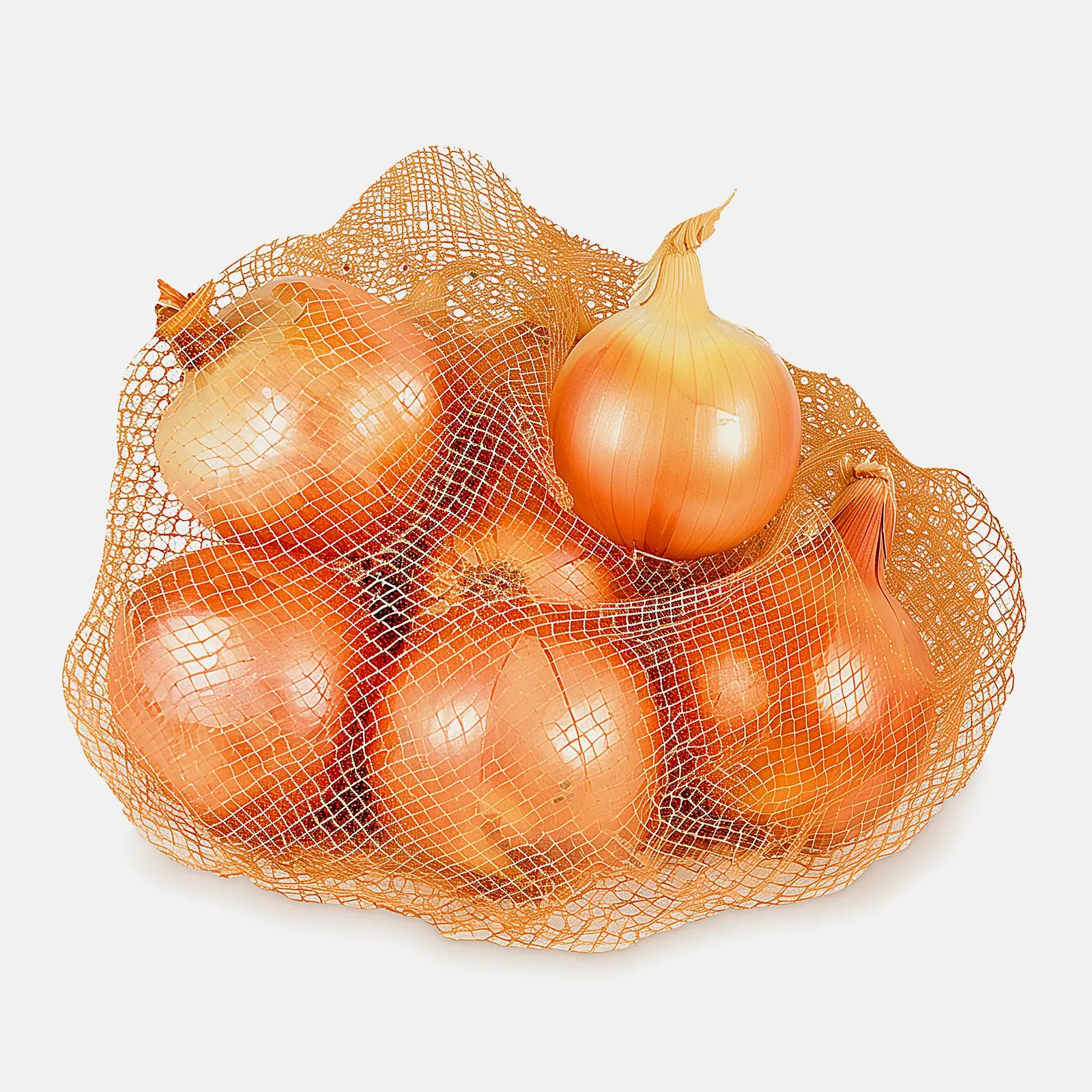 Лук репчатый