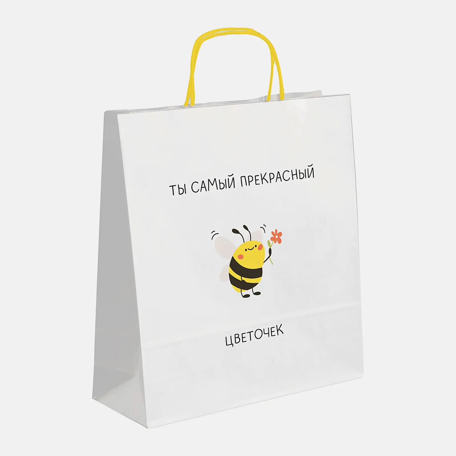 Подарочный пакет Bestie 20*24*10см в ассортименте