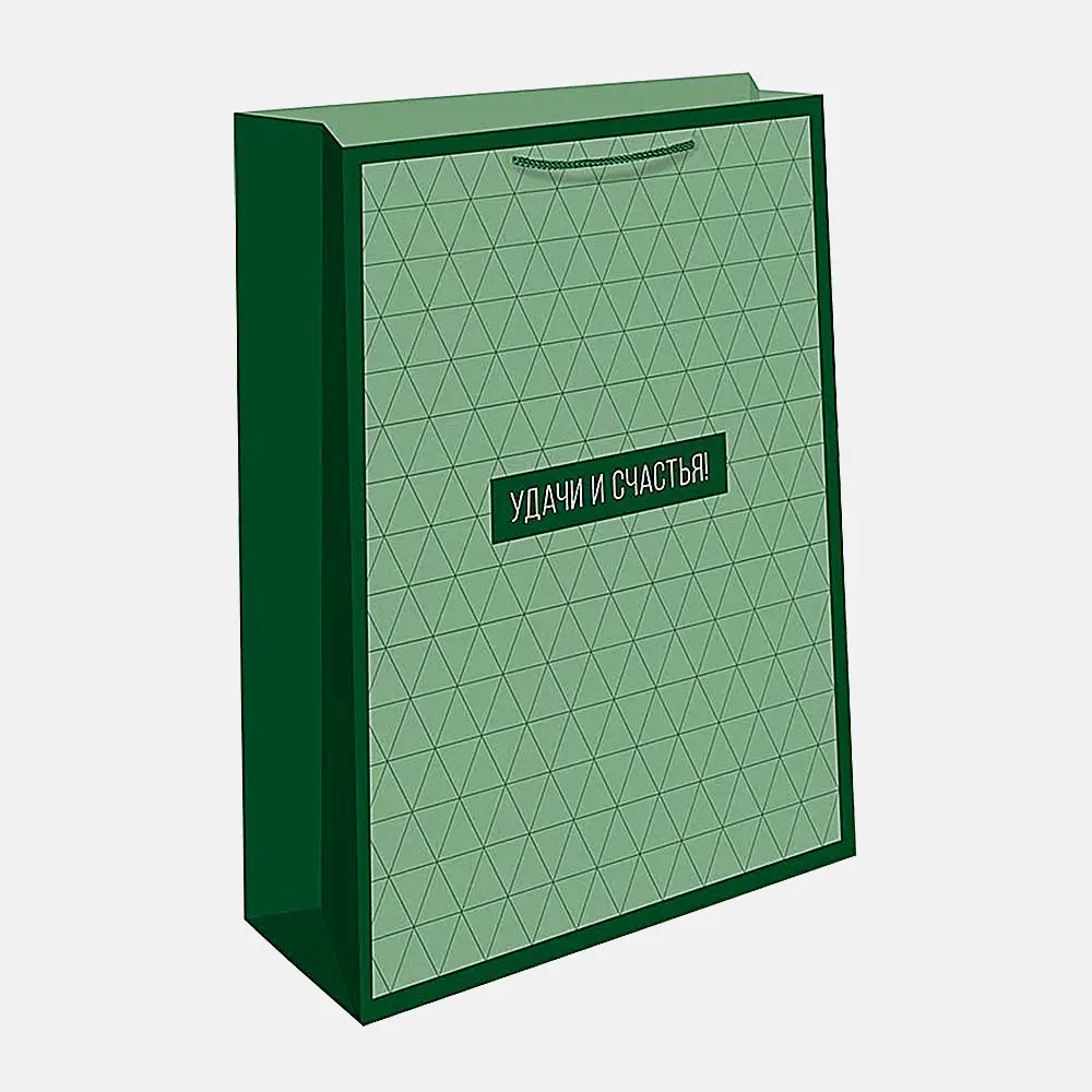 Подарочный пакет бумажный 18*22.3*10см в ассортименте