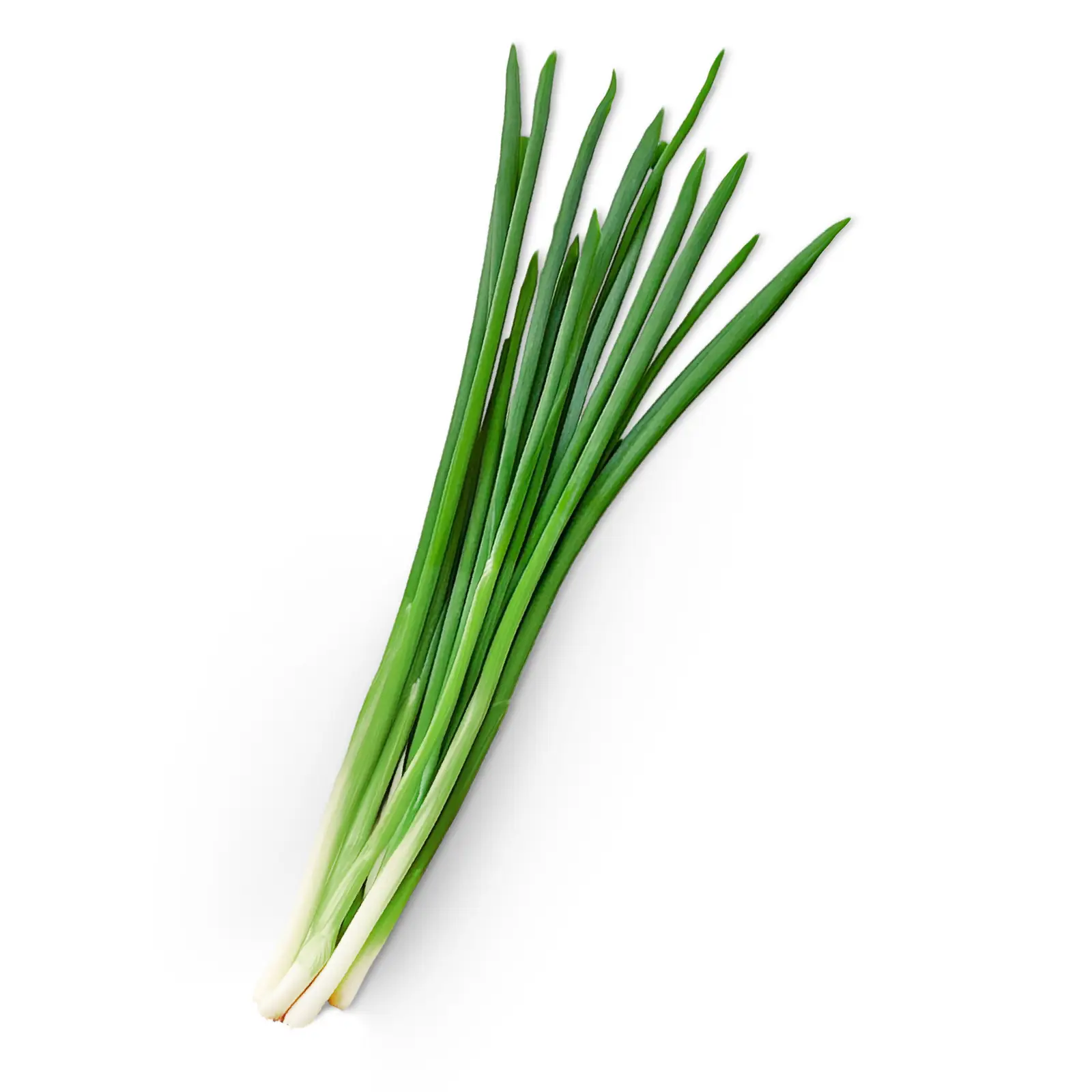 Изображение товара Зелёный лук 50г свежий ароматный хрустящий остро-пряный