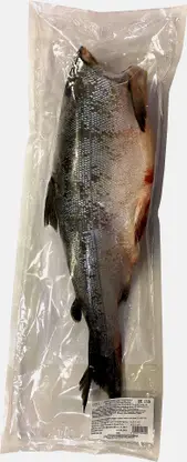 Кижуч потрошеная без головы