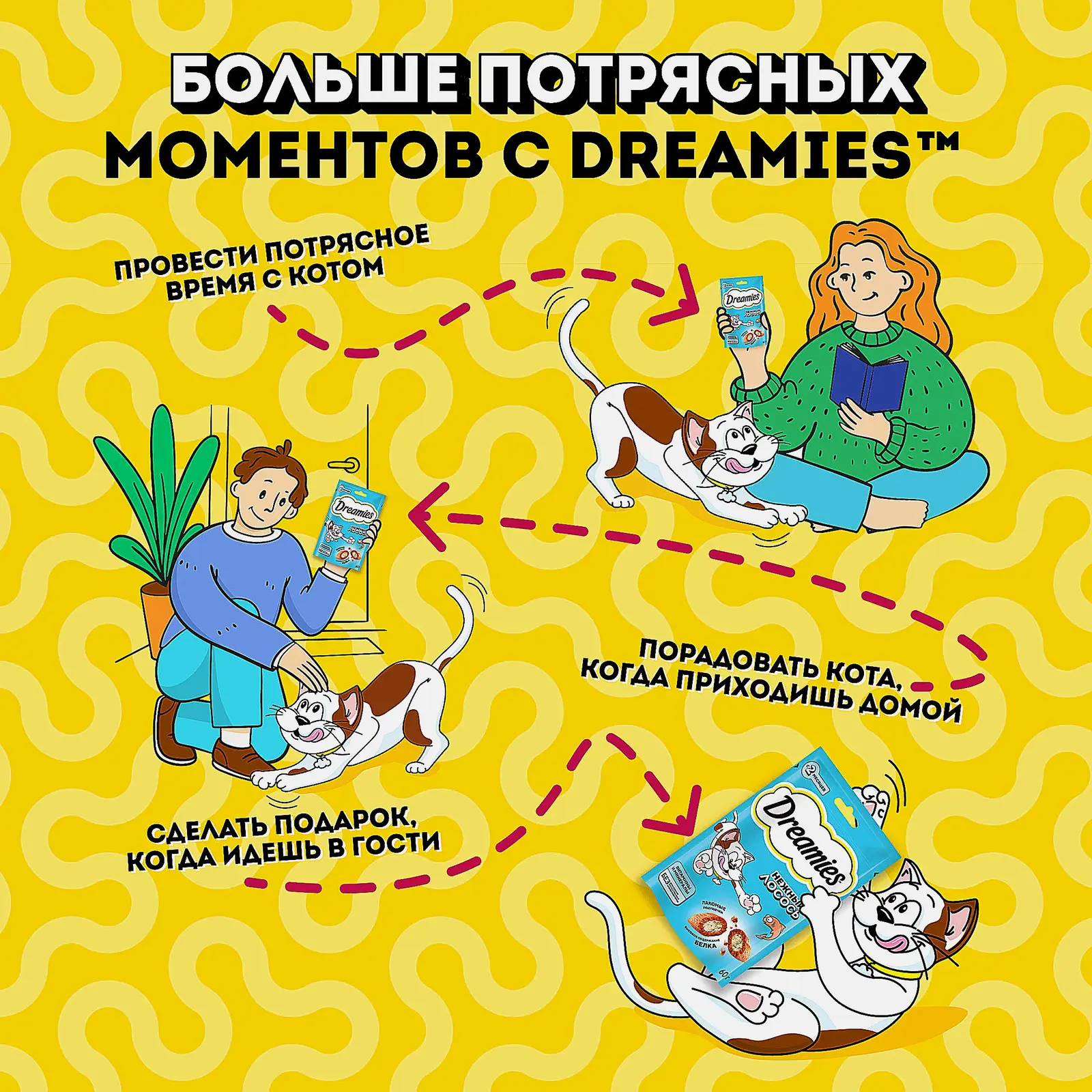 Лакомство для кошек с лососем Dreamies 60г