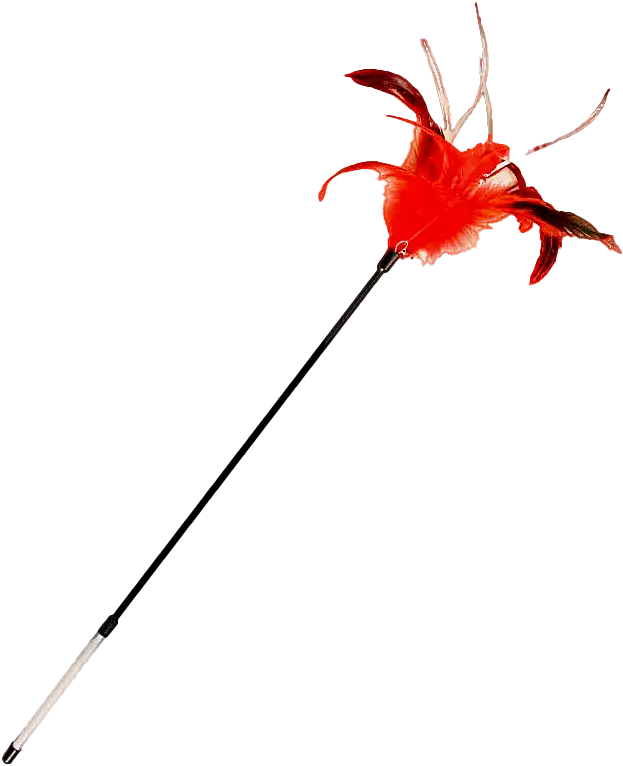 Удочка-дразнилка для кошек Triol c перьями