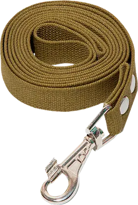Поводок для собак Gamma брезентовый 2*300см